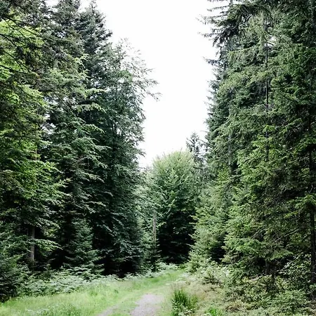 5-zimmer-ferienhaus Yokulca * Dobel